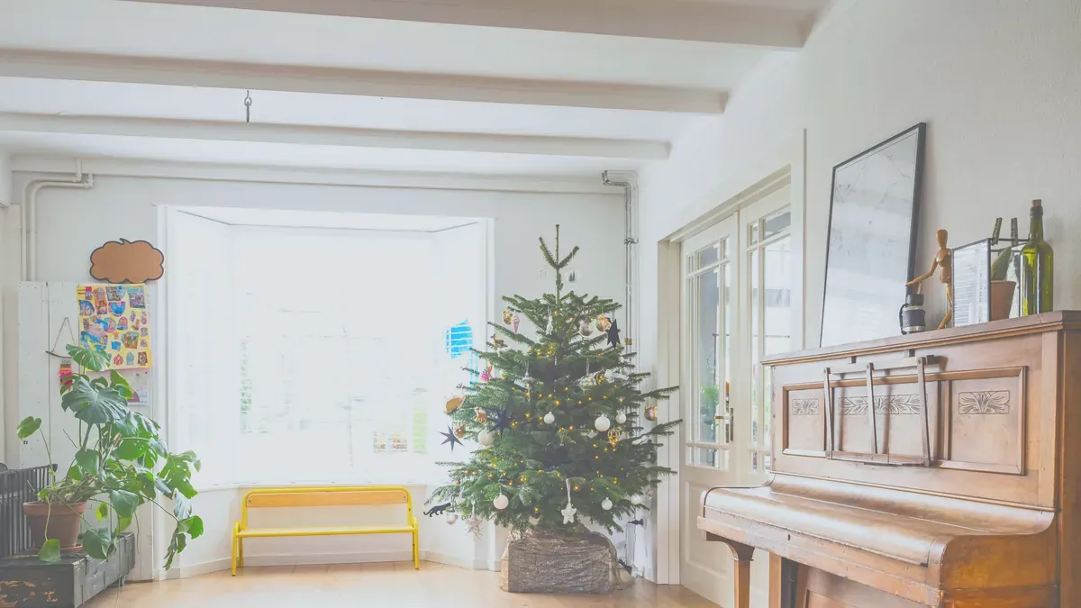 Robot i julklapp 2026: dammsugare, gräsklippare, fönster